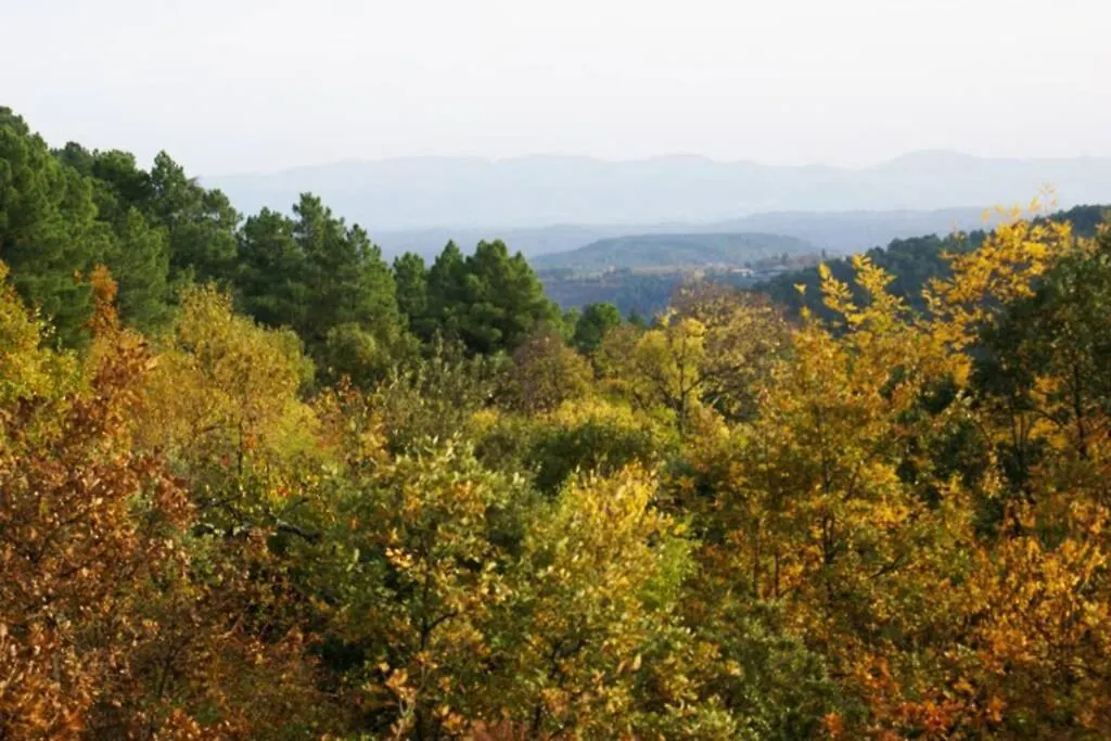 Belle Et Grande Maison Ardechoise Payzac  Holiday home Payzac (Ardeche)